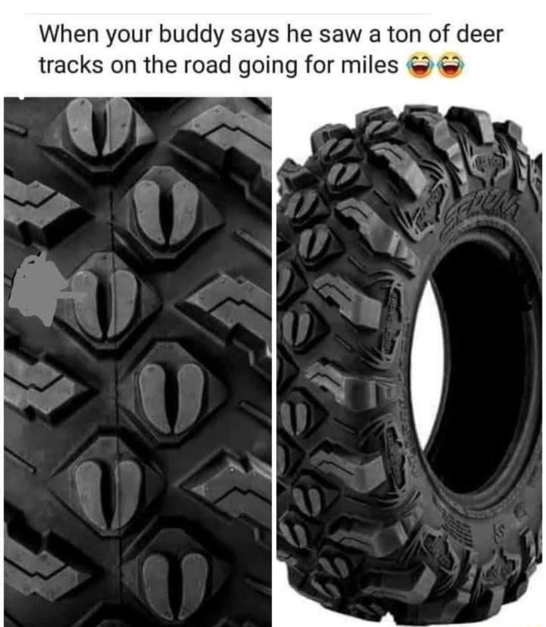 When your buddy says he saw a ton of deer tracks on the road going for miles