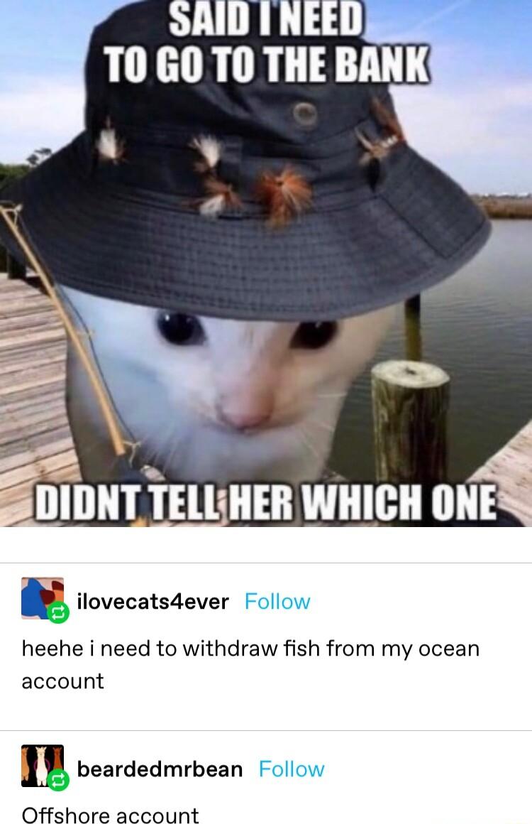 ilovecats4ever heehe i need to withdraw fish from my ocean account I beardedmrbean Offshore account