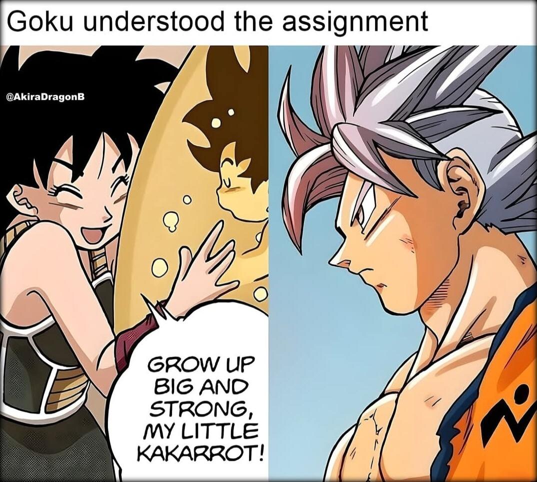 Goku understood the assignment