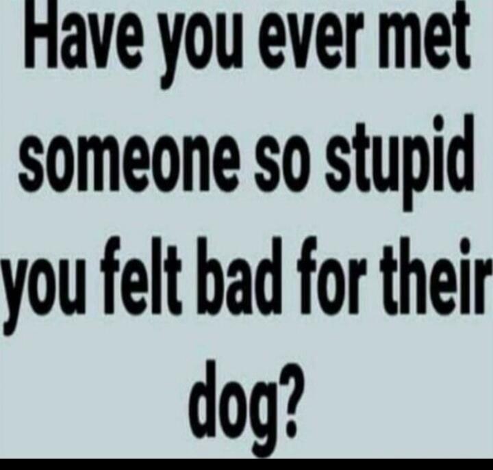 Have you ever met someone so stupid you felt bad for their dog?