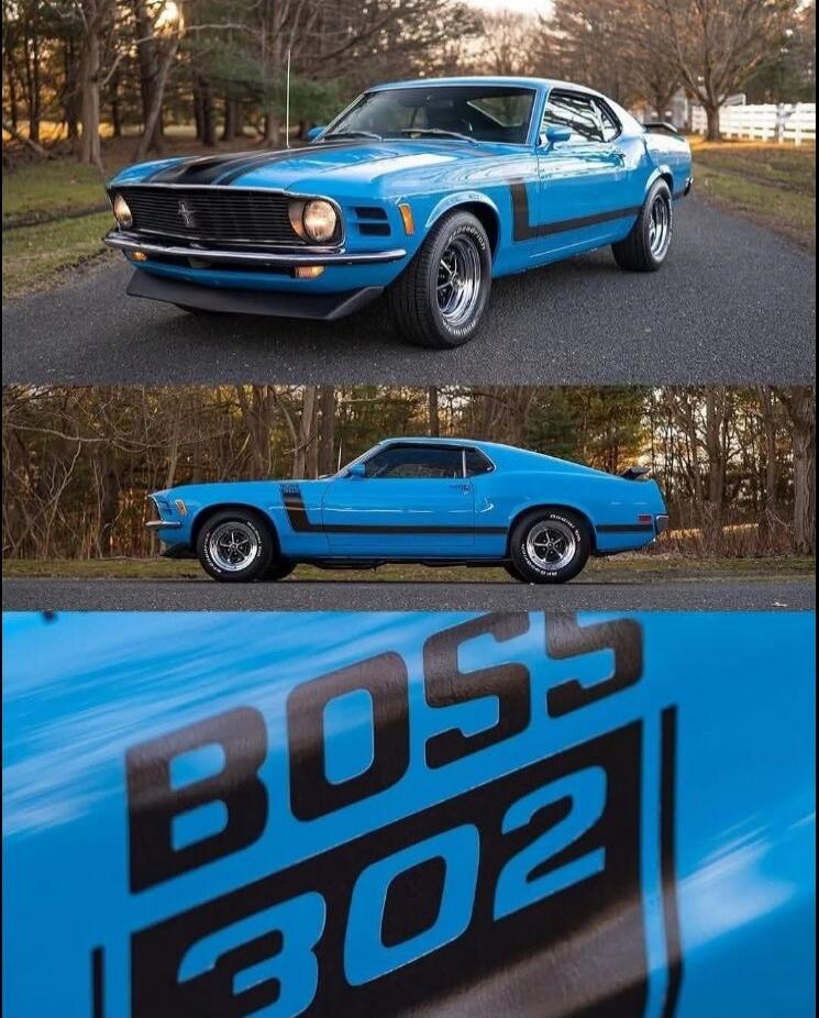 BOSS 302