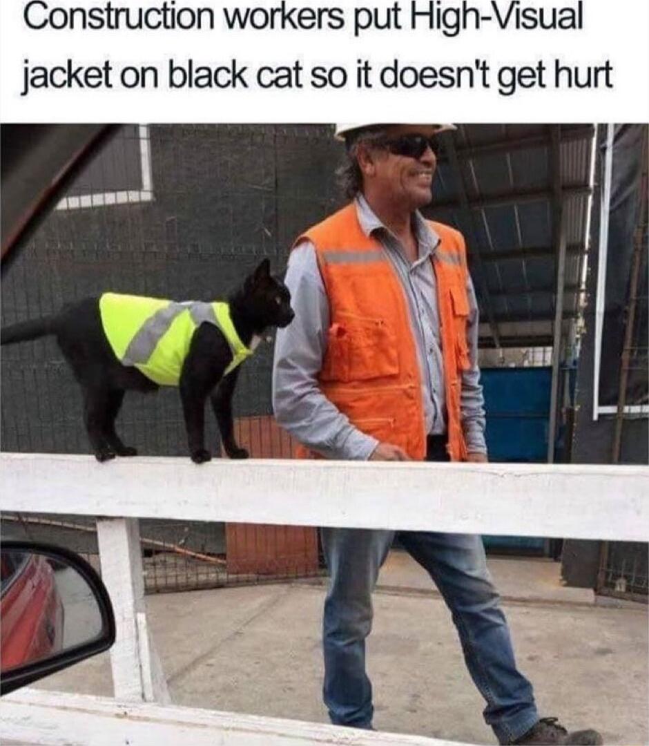 onstruction workers put Higl jacket on black cat so it doesnt get hurt