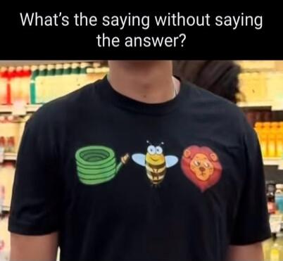What's the saying without saying the answer?