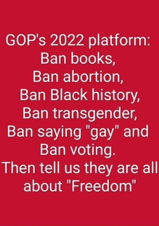 GOPs 2022 platform Ban books Ban abortion Ban Black history Ban transgender Ban saying gay and Ban voting RN IR CUNTER QTR 1o ol0 S Sl TcTe o g