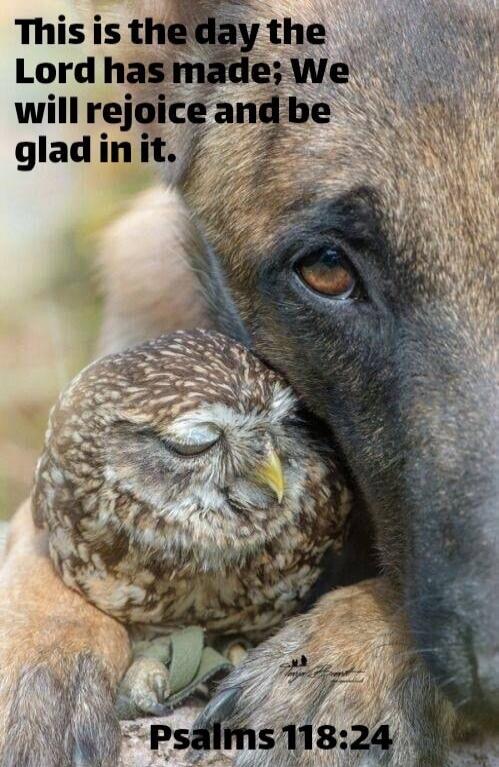 This is the day the Lord has made; We will rejoice and be glad in it. Psalms 118:24