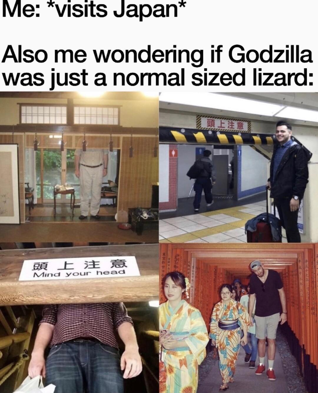 vie visits Japan Also me wondering if Godzilla was just a normal sized lizard