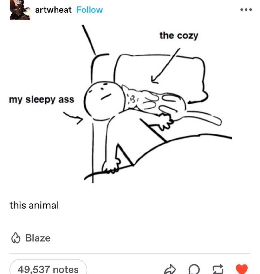 E artwheat Follow e my sleepy ass this animal Blaze 49537 notes D 0D