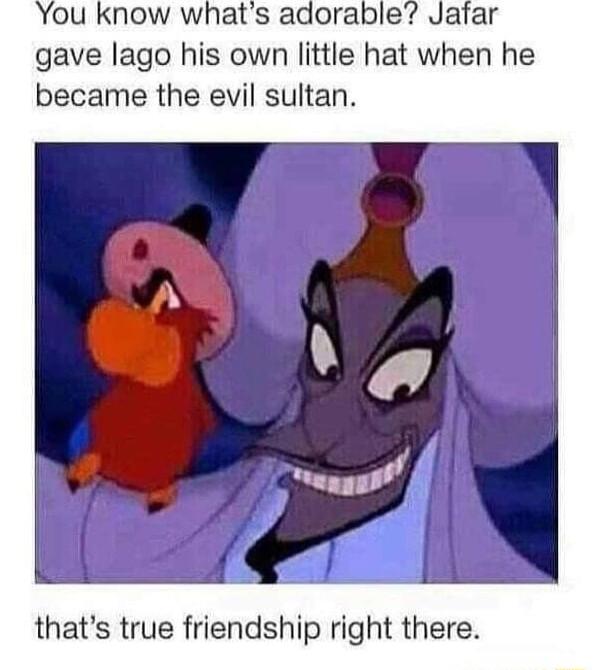 You know whats adorable Jatar gave lago his own little hat when he became the evil sultan thats true friendship right there