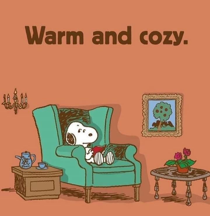 Warm and cozy.