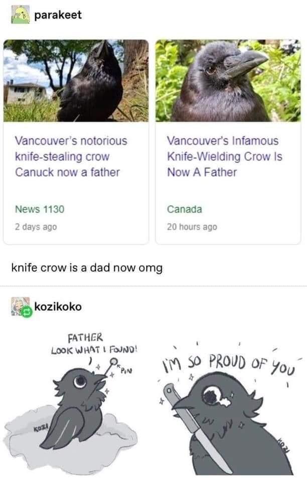 parakeet Vancouvers notorious Vancouvers Infamous knife stealing crow Knife Wielding Crow Is Canuck now a father Now A Father News 1130 Canada knife crow is a dad now omg kozikoko FATHER LOOK WHAT Founp W 20 PROUD gp Yo