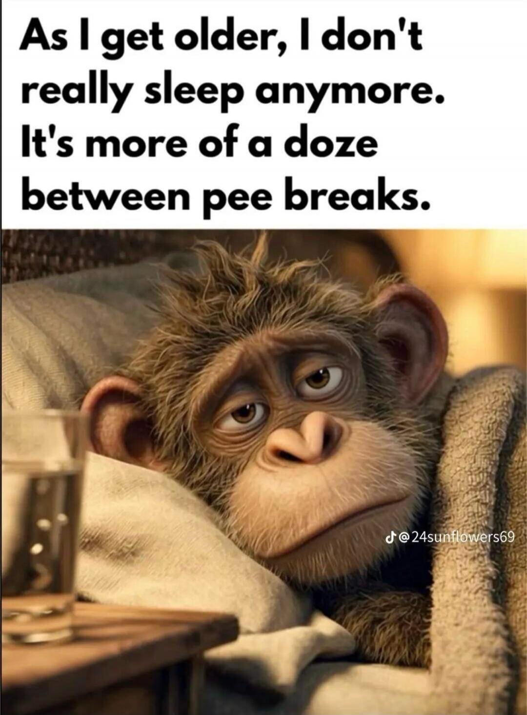 As I get older, I don't really sleep anymore. It's more of a doze between pee breaks.
