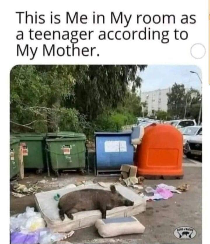 This is Me in My room as a teenager according to My Mother.