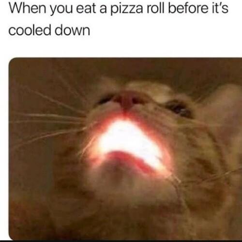 When you eat a pizza roll before its cooled down