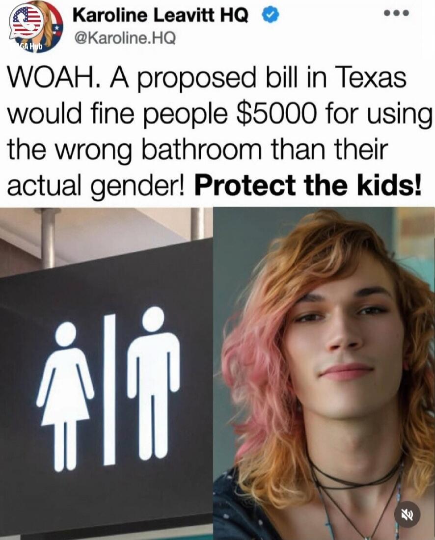 Karoline Leavitt HQ @Karoline.HQ WOAH. A proposed bill in Texas would fine people $5000 for using the wrong bathroom than their actual gender! Protect the kids! [Image shows male and female bathroom symbols next to a person with long, wavy hair, some of which is pink, wearing necklaces.]