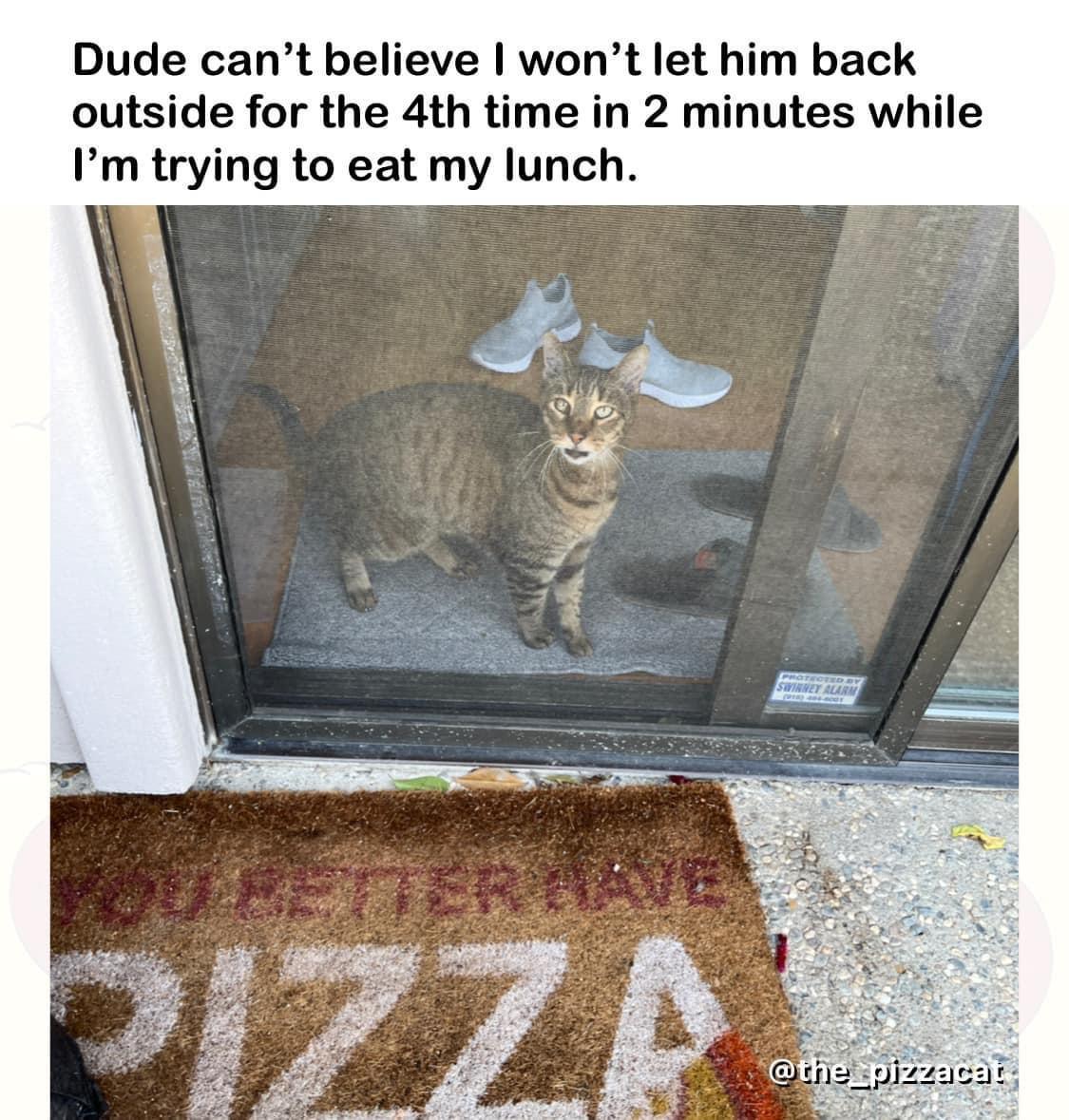 Dude cant believe wont let him back outside for the 4th time in 2 minutes while Im trying to eat my lunch