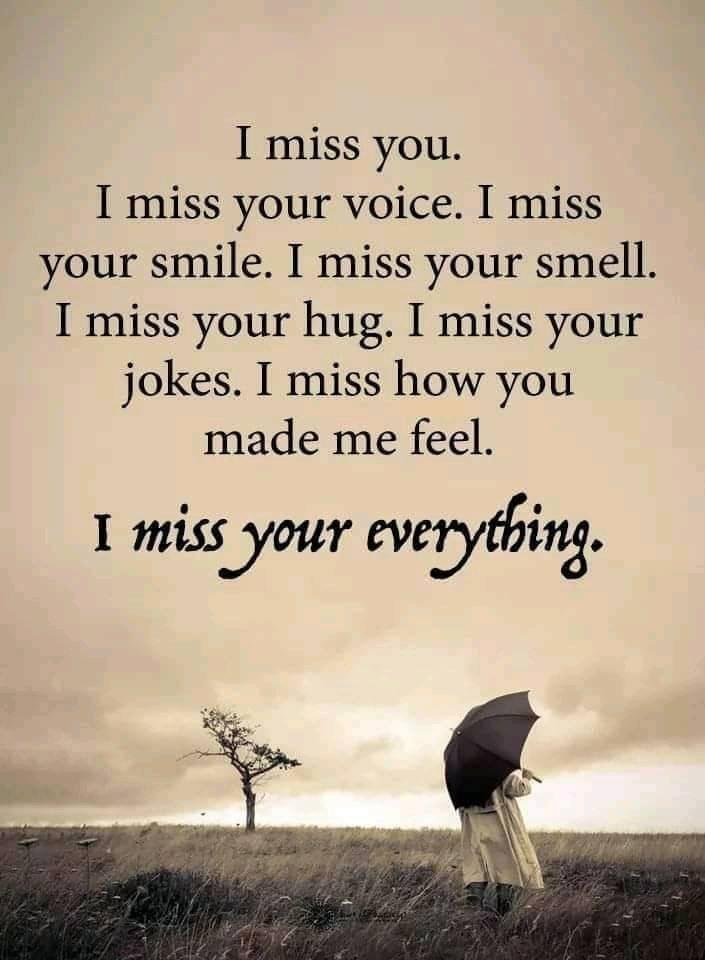 I miss you I miss your voice I miss your smile I miss your smell I miss your hug I miss your jokes I miss how you made me feel I miss your evezyting