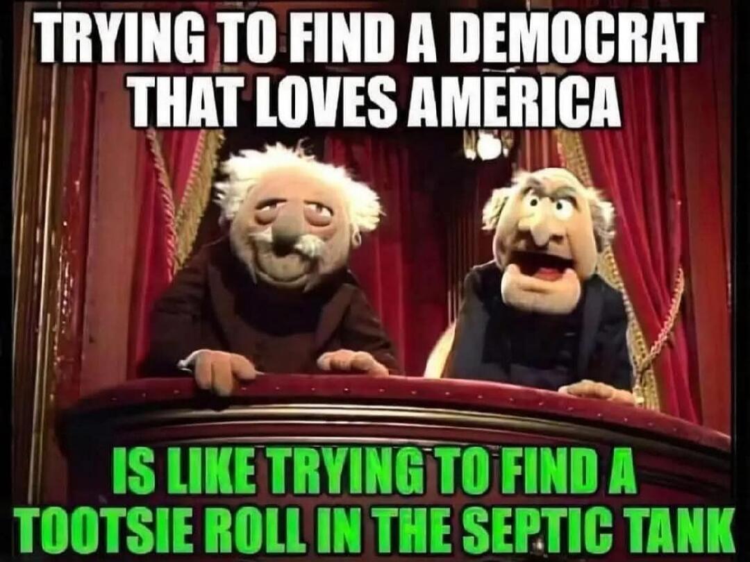 TRYING TO FIND A DEMOCRAT THAT LOVES AMERICA IS LIKE TRYING TO FIND A TOOTSIE ROLL IN THE SEPTIC TANK