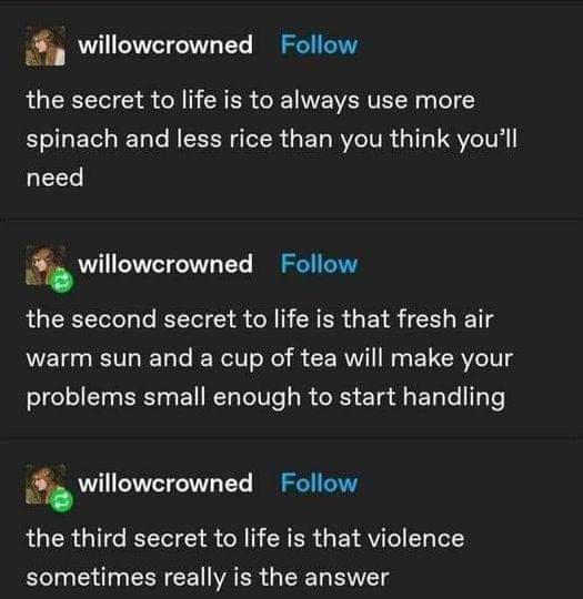 3 willowcrowned Follow RGEREECTE S CR I R ER CRE VEWERVE R 1 spinach and less rice than you think youll need A willowerowned Follow the second secret to life is that fresh air warm sun and a cup of tea will make your problems small enough to start handling willowcrowned Follow the third secret to life is that violence sometimes really is the answer