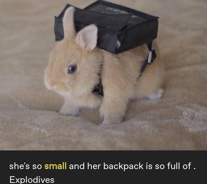 shes so small and her backpack is so full of Explodives