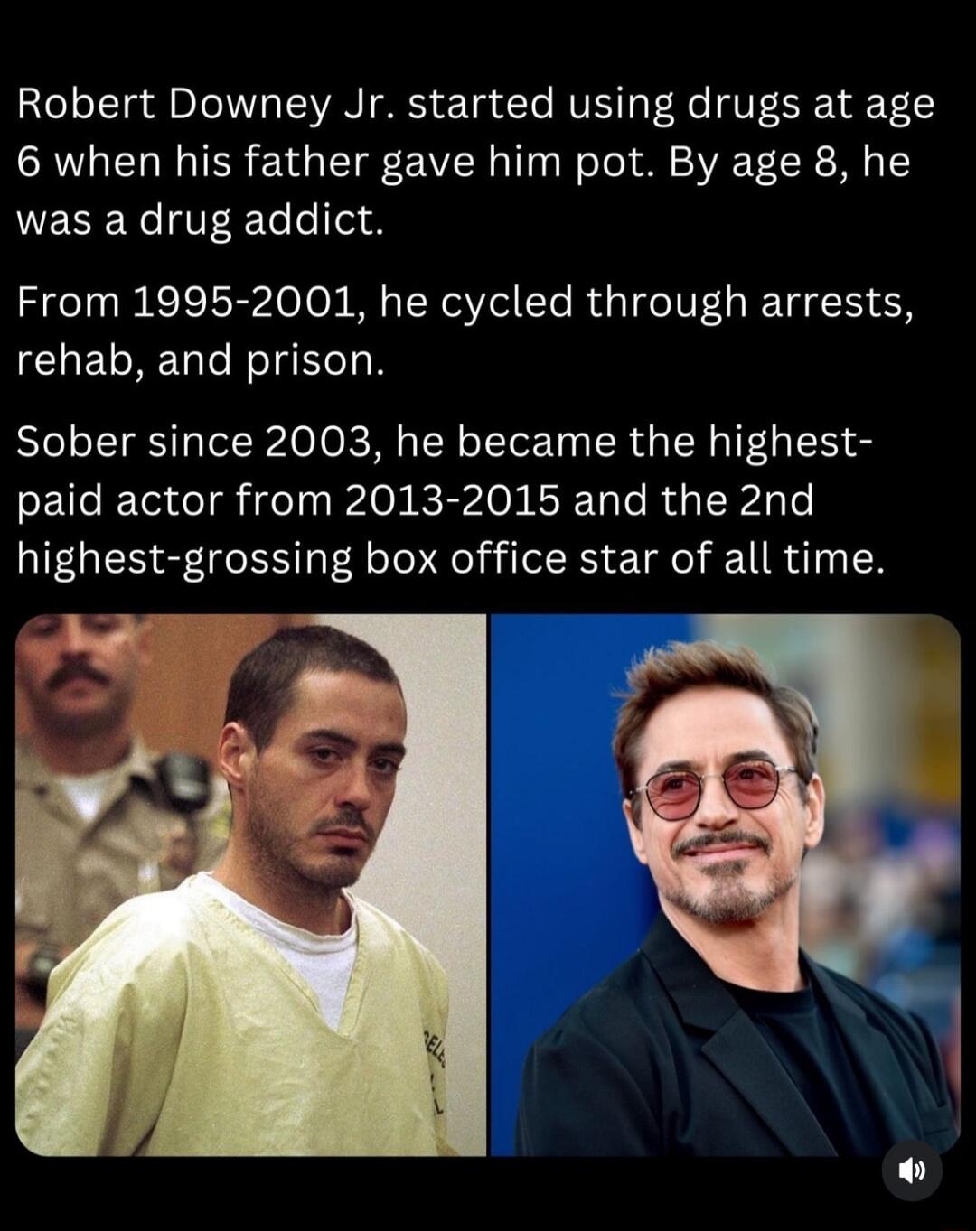 20eoTlg Al Lo M TEANTRES f Yo RVETTLF Fe V LR VT2 6 when his father gave him pot By age 8 he LESERC IRl e a From 1995 2001 he cycled through arrests CUELREGTR R Sober since 2003 he became the highest paid actor from 2013 2015 and the 2nd highest grossing box office star of all time