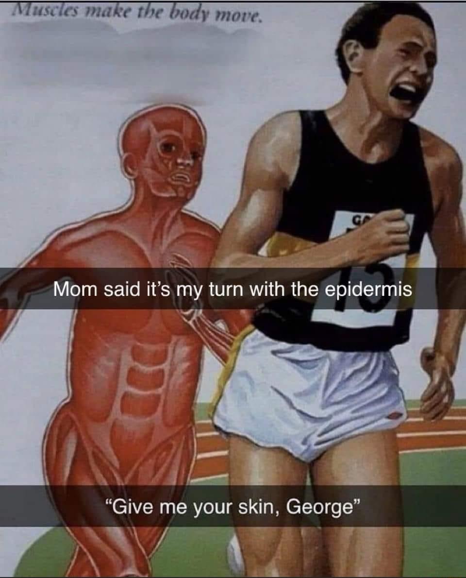 Vuscles make the body move Mom said its my turn with the epidermis e Give me your skin George EnY