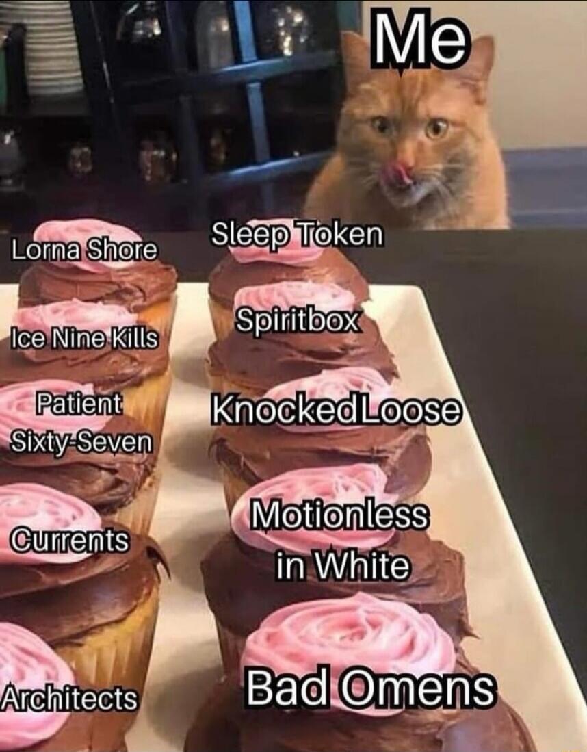 Me
Lorna Shore
Ice Nine Kills
Architects
Currents
Pearl? (not present in image) 
Sleep Token
Spiritbox
Knocked Loose
Motionless in White
Bad Omens
Patient Sixty-Seven
Session ID: 1087576.