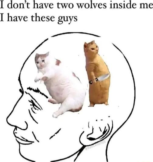 I dont have two wolves inside me I have these guys