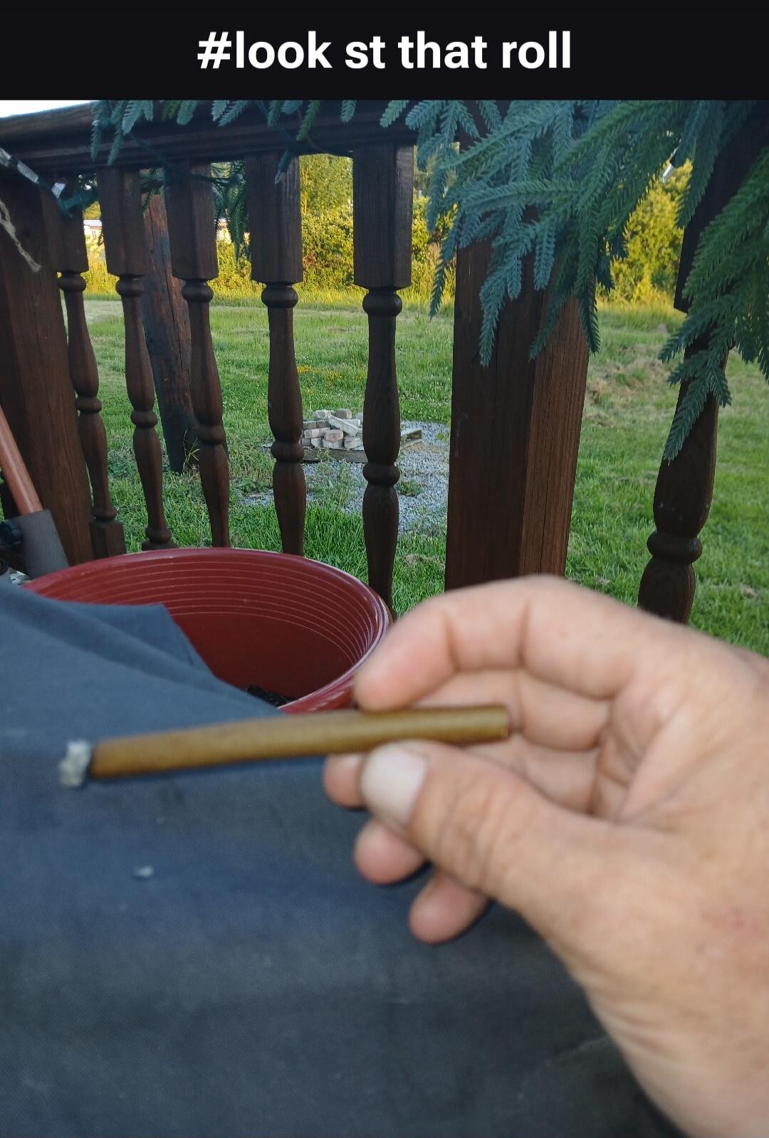 #look st that roll