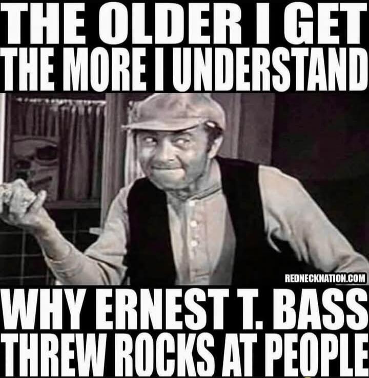 THE OLDER I GET THE MORE I UNDERSTAND WHY ERNEST T. BASS THREW ROCKS AT PEOPLE