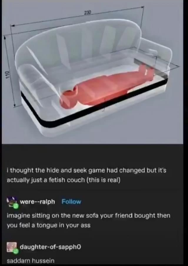 i thought the hide and seek game had changed but its actually just a fetish couch this is real w ralph F imagine sitting on the new sofa your friend bought then you feel a tongue in your ass daughter of sapph0 saddam hussein