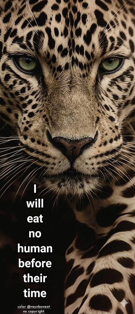 I will eat no human before their time. color @raynbowent no copyright