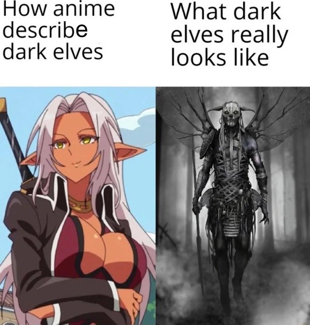 What dark describe elves really dark elves looks like