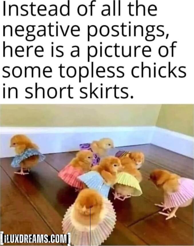 Insteaa of all the negative postings here is a picture of some topless chicks in short skirts