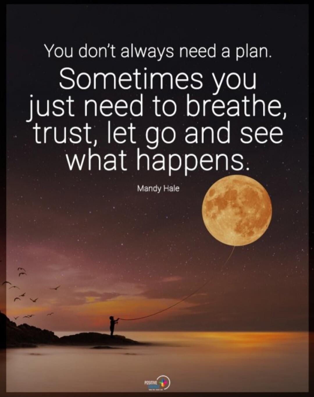 You don't always need a plan. Sometimes you just need to breathe, trust, let go and see what happens. Mandy Hale