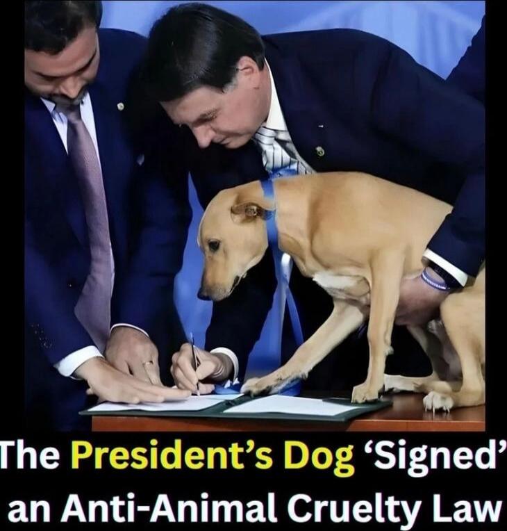 The President’s Dog ‘Signed’ an Anti-Animal Cruelty Law