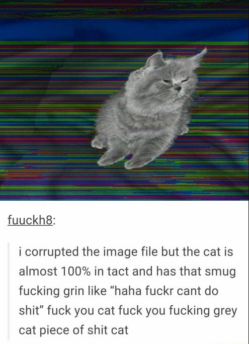 uuckh8 i corrupted the image file but the cat is almost 100 in tact and has that smug fucking grin like haha fuckr cant do shit fuck you cat fuck you fucking grey cat piece of shit cat