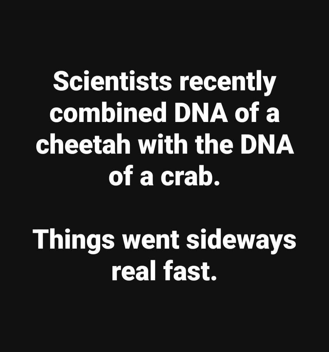 Scientists recently combined DNA of a cheetah with the DNA of a crab. Things went sideways real fast.