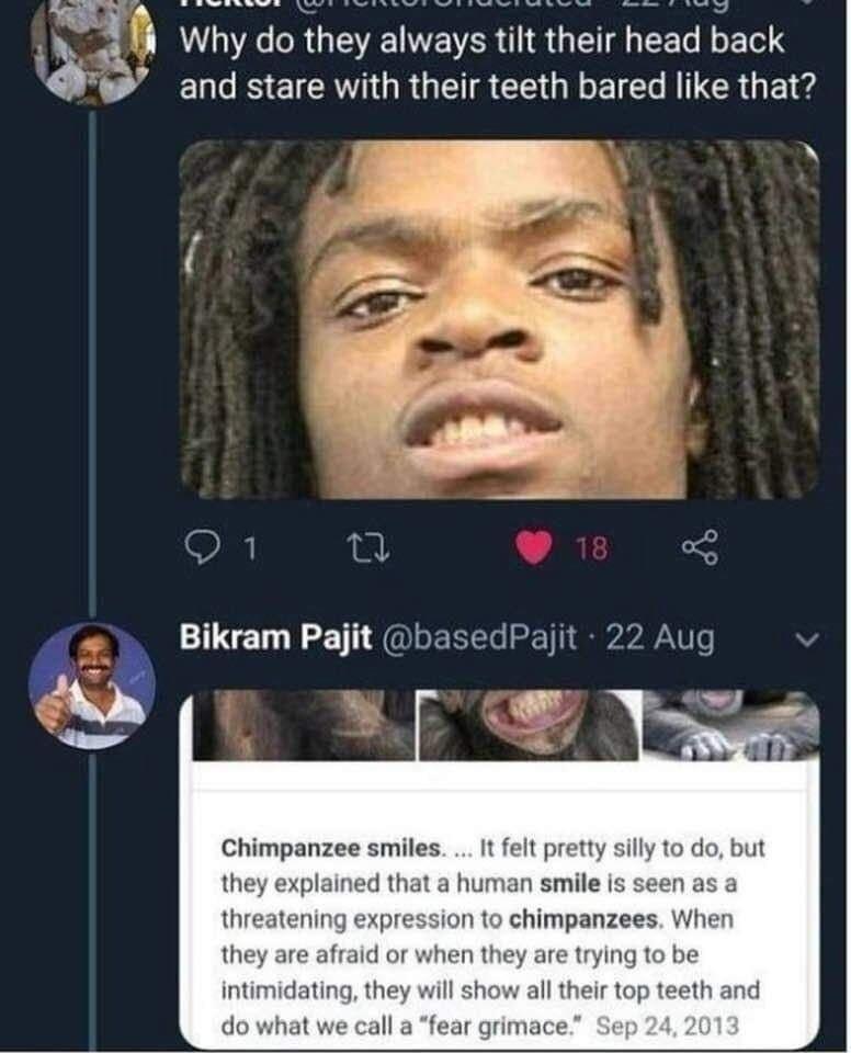 T 7y 4 A Why do they alwaysnlt henr head back and stare with their teeth bared like that Chimpanzee smiles It felt pretty ed that a human smile is seen as a on to chimpanzees When intimidating the do