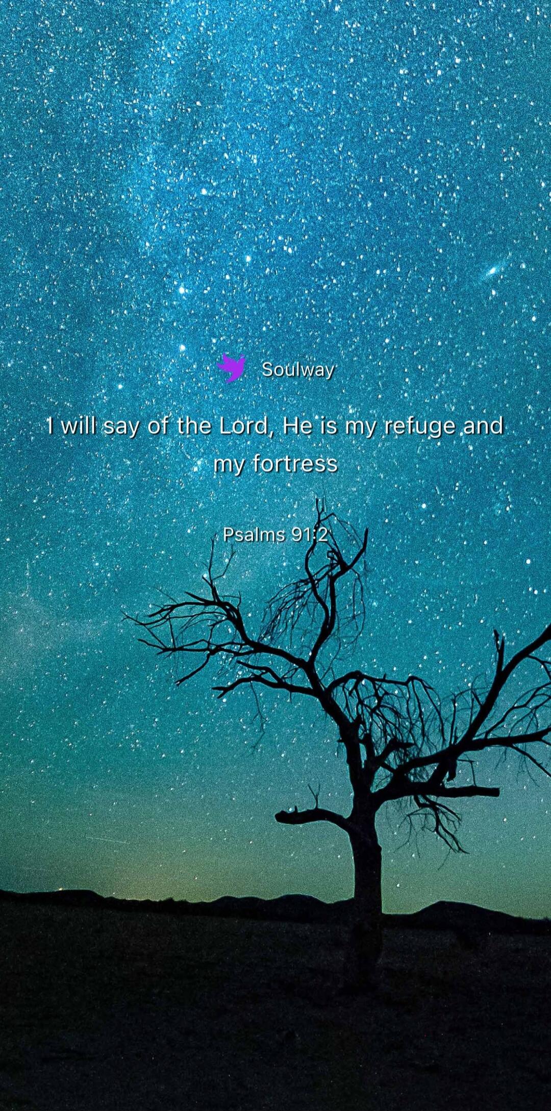 Soulway I will say of the Lord, He is my refuge and my fortress Psalms 91:2
