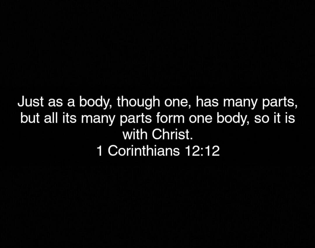 Just as a body, though one, has many parts, but all its many parts form one body, so it is with Christ. 1 Corinthians 12:12
Session ID: 1051883.