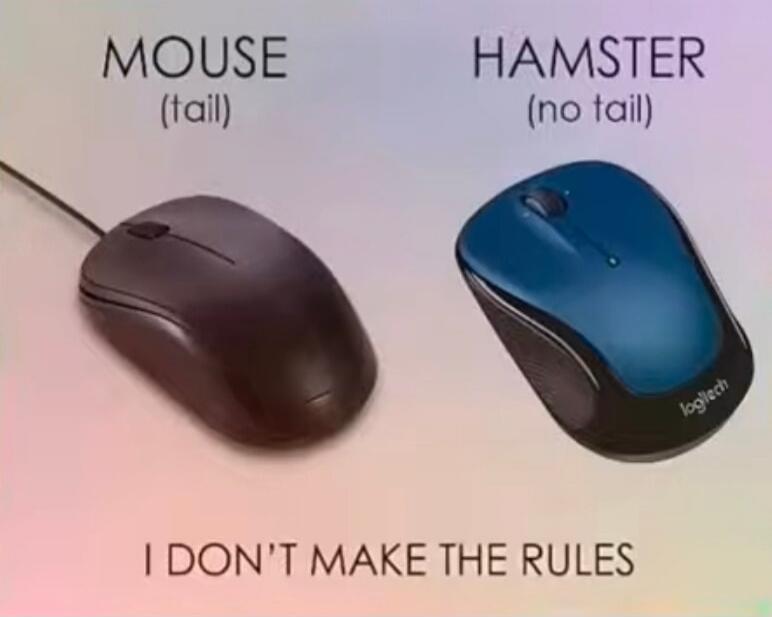 MOUSE (tall)  HAMSTER (no tail)  I DON'T MAKE THE RULES