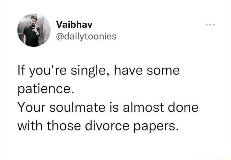 Vaibhav dailytoonies If youre single have some patience Your soulmate is almost done with those divorce papers