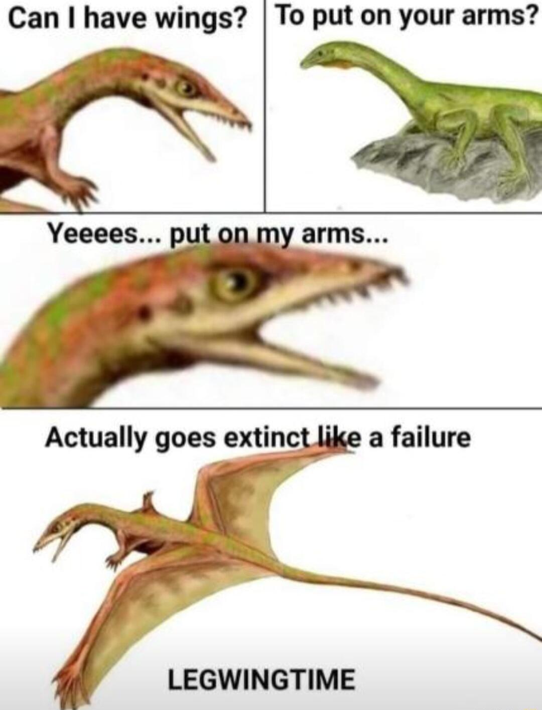 Can have wings To put on your arms a failure LEGWINGTIME