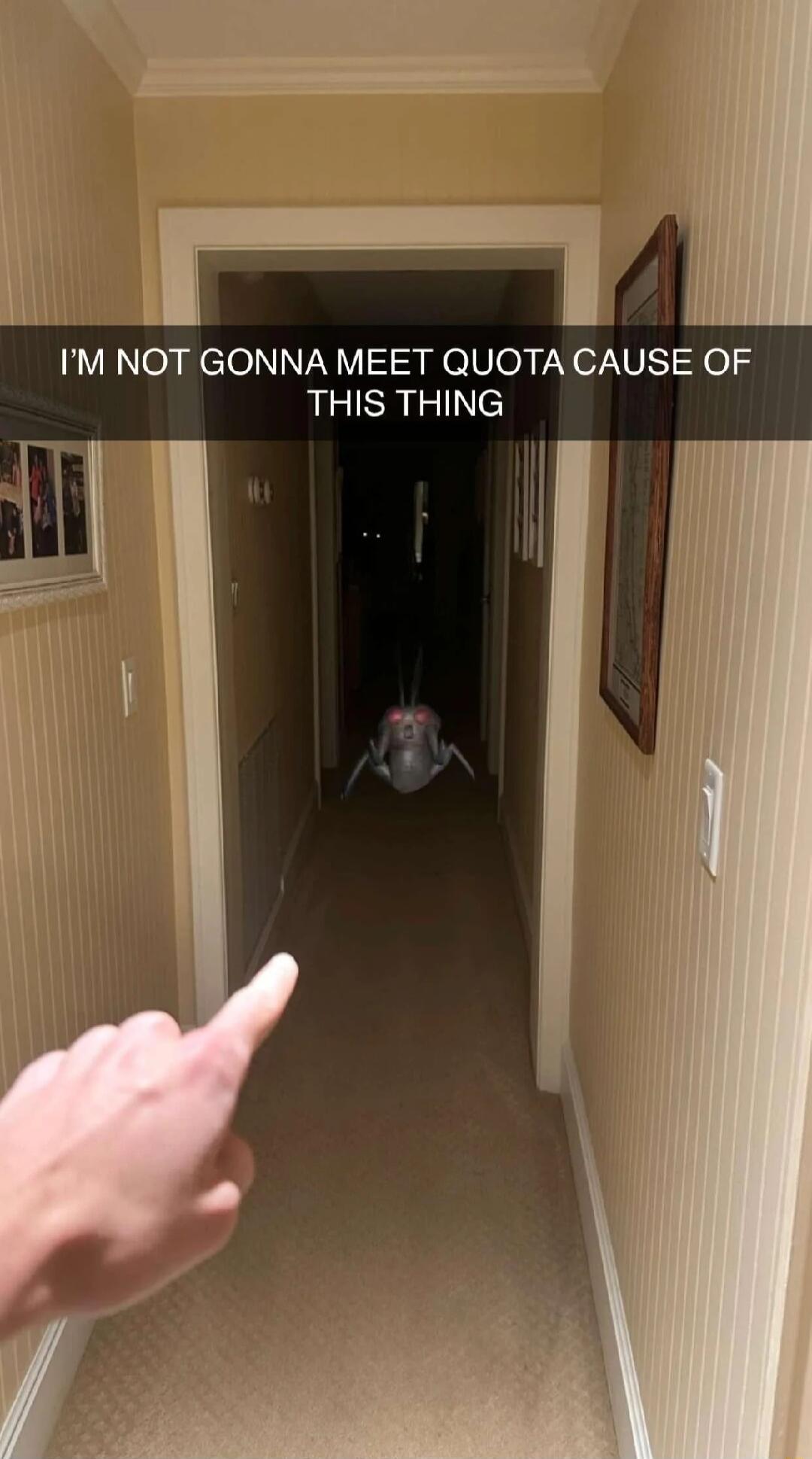 LR Nlea elel VN V3 elVea N o7 VEIYe THIS THING