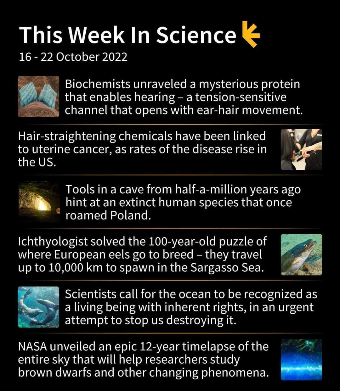 This Week In Science 16 22 October 2022 Biochemists unraveled a mysterious protein that enables hearing a tension sensitive channel that opens with ear hair movement Hair straightening chemicals have been linked to uterine cancer as rates of the disease rise in the US Tools in a cave from half a million years ago 8 hint at an extinct human species that once roamed Poland Ichthyologist solved the 1