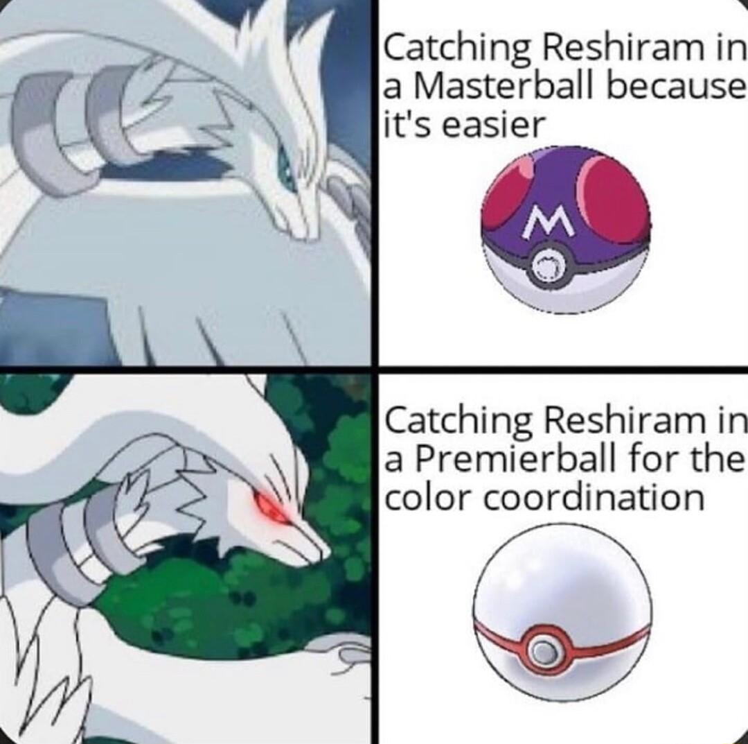 Catching Reshiram in a Masterball because its easier Catching Reshiram in a Premierball for the color coordination