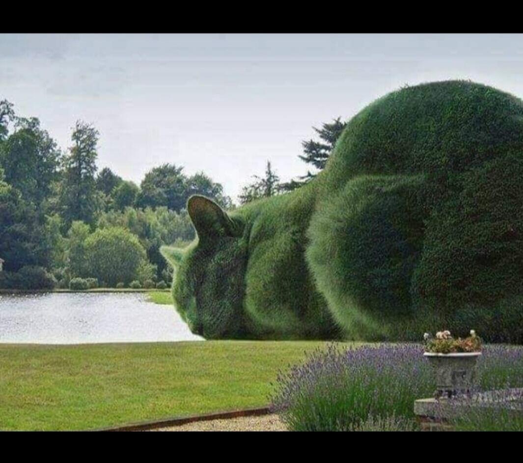 A giant cat-shaped topiary lying by a lake in a garden.