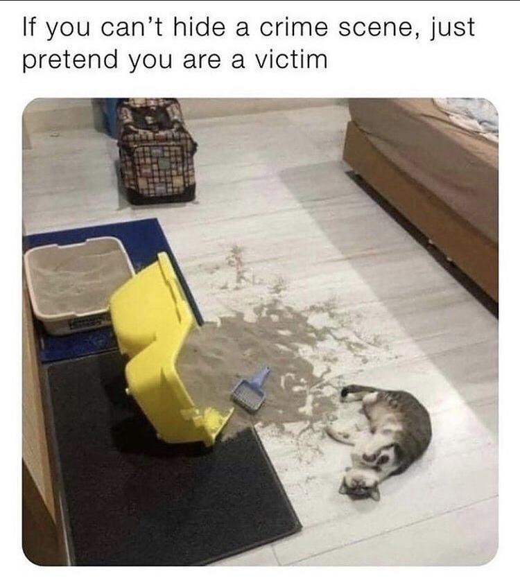 If you cant hide a crime scene just pretend you are a victim