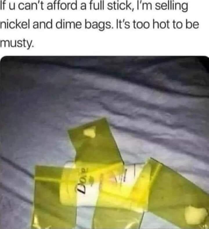 nickel and dime bags Its too hot to be musty