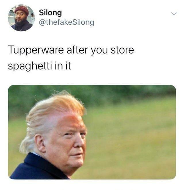 y Silong v X thefakeSilong Tupperware after you store spaghettiin it